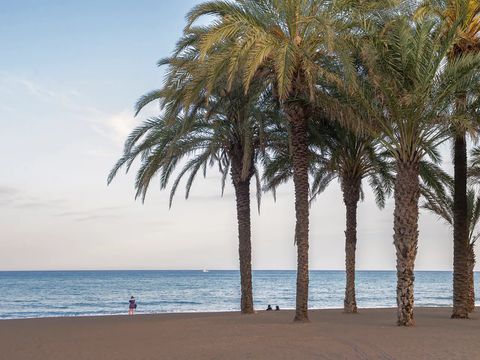 Pierre & Vacances Hotel Costa Málaga (Adults only) - Málaga - Image N°10