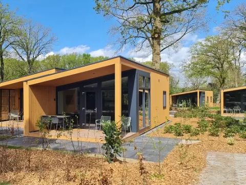 Lodgepark 't Vechtdal - Camping Dalfsen - Image N°0