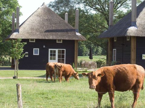 Erve Woolderink - Camping Wierden - Image N°0