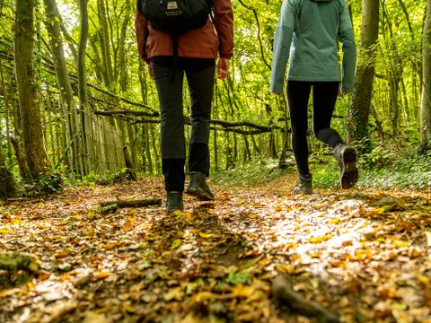 Landal Namur Nature - Namen - Image N°27