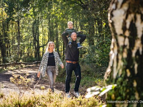 Villapark Residentie Texel - Texel - Image N°35