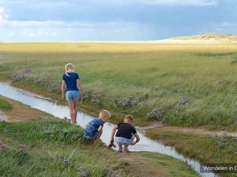 Villapark Residentie Texel - Texel - Image N°36