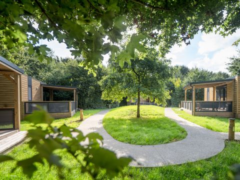Urban Gardens Ieper - Westflandern - Image N°18