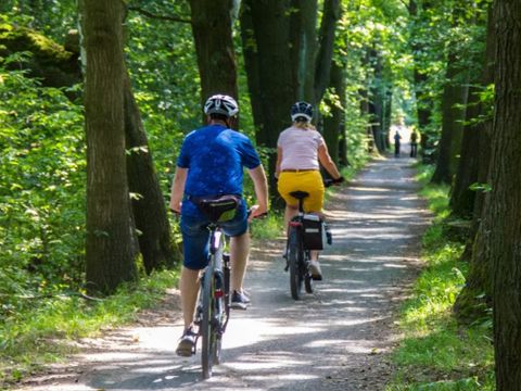 Urban Gardens Ieper - Camping Westflandern - Image N°4