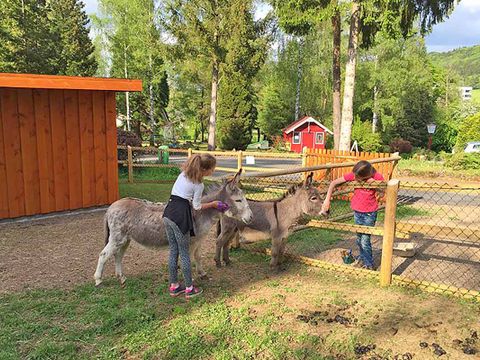 Bungalowpark Felsenhof - Camping Rheinland-Pfalz