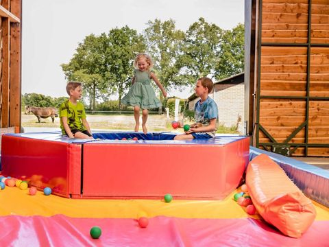  Charmecamping & Appartementen De Regge-Vallei  - Camping Twenterand - Image N°4