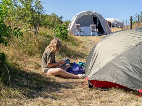 Duincamping de Lepelaar - Schagen - Image N°3