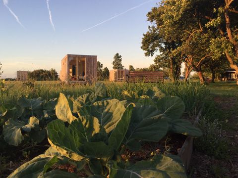  Pean-Buiten Weidum - Leeuwarden - Image N°0