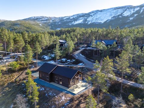 Fjord Rentals - Telemark - Image N°25