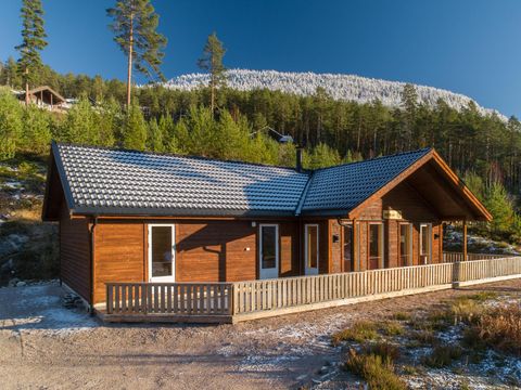 Fjord Rentals - Telemark - Image N°12