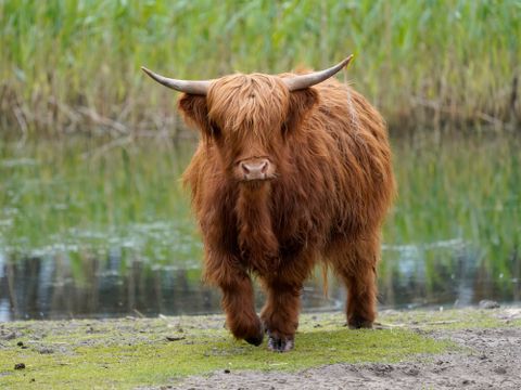 Serengeti Park - Niedersachsen - Image N°12
