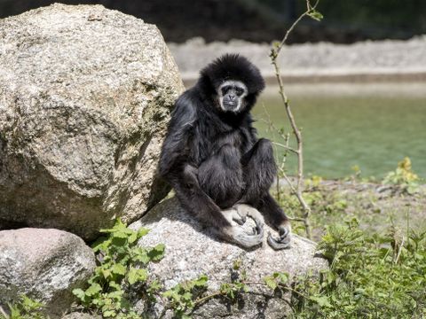 Serengeti Park - Niedersachsen - Image N°15