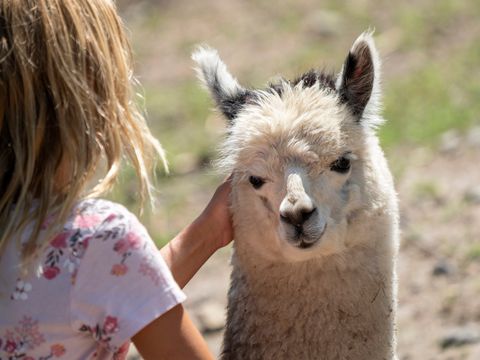 Serengeti Park - Niedersachsen - Image N°16