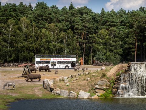 Serengeti Park - Niedersachsen - Image N°3