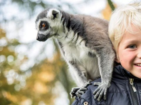 Serengeti Park - Niedersachsen - Image N°3