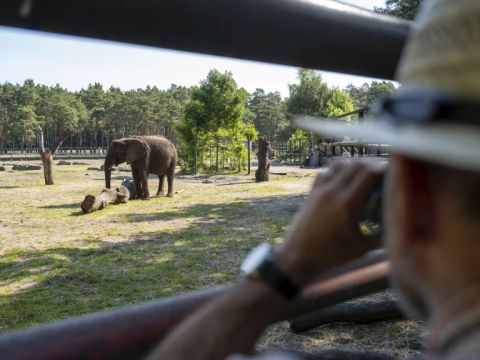 Serengeti Park - Niedersachsen - Image N°4