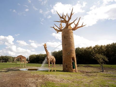 Serengeti Park - Niedersachsen - Image N°14