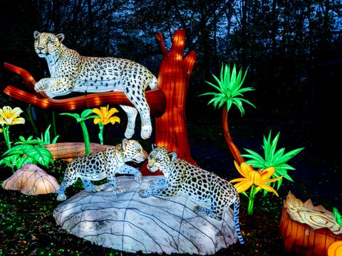Serengeti Park - Niedersachsen - Image N°17