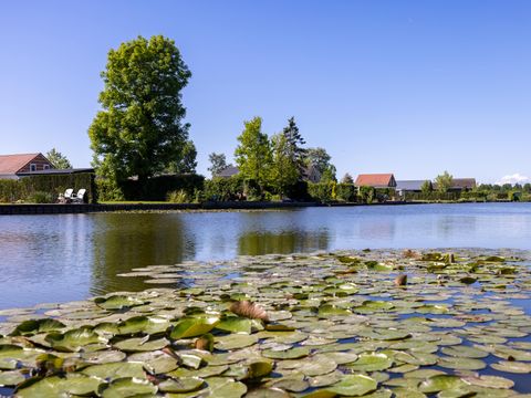 Vakantiepark De Groote Vliet - Medemblik - Image N°5