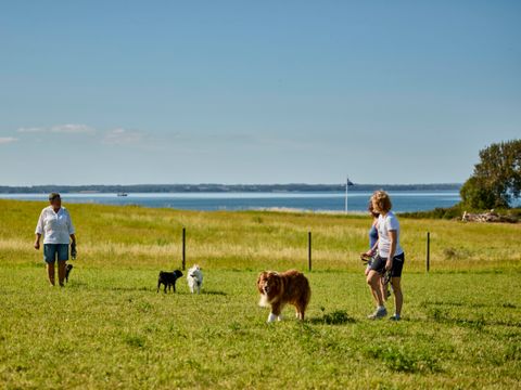 Vodatent Emmerbølle Strand Camping - Süd-Dänemark - Image N°2