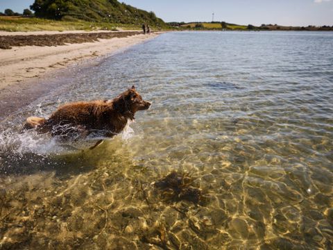 Vodatent Emmerbølle Strand Camping - Süd-Dänemark - Image N°4
