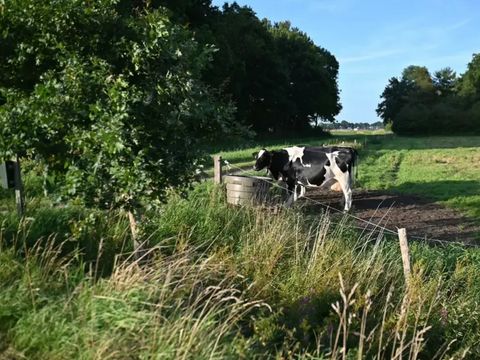 Vodatent Camping Hunze Bulten - Aa und Hunze - Image N°5