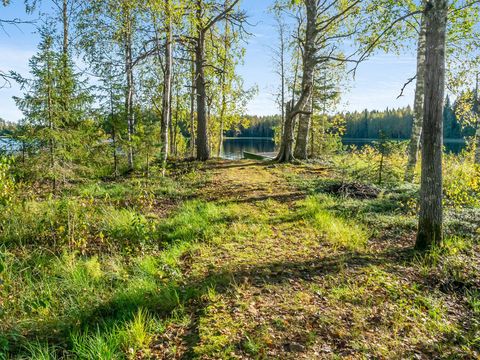 Vaikko Riverside Resort - North Karelia - Image N°8