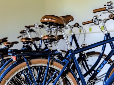 Kustpark Nieuwpoort - Westflandern