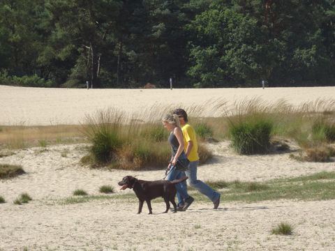 Recreatiepark Duinhoeve - Tilburg - Image N°17