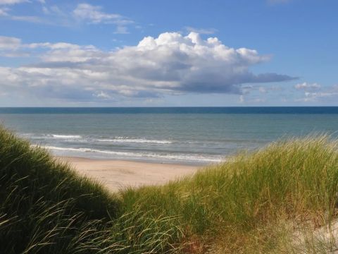 Vodatent Tornby Strand Camping - Nordjutland - Image N°2