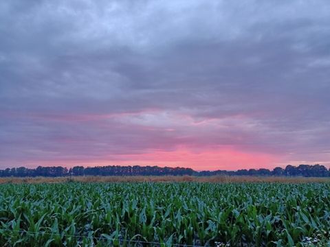 Vodatent Boerderijcamping het Katreel - Haaksbergen - Image N°5