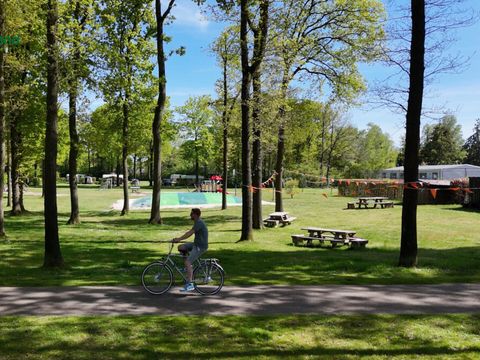 Vodatent Park Drentheland - Westerveld - Image N°3