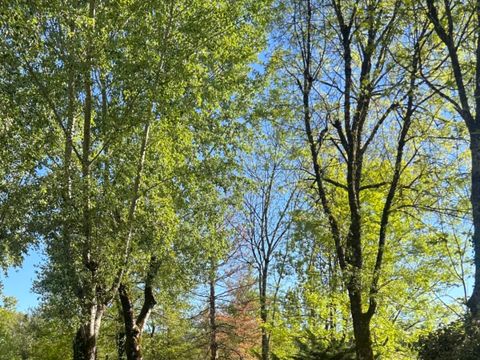 Vodatent Camping Les Rives de Courtes - Gers - Image N°5