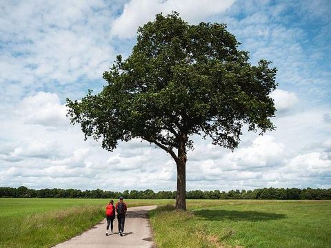 Landgoed de Huynen - Aa und Hunze - Image N°4