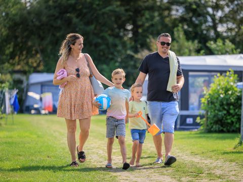 Camping Ginsterveld - Schouwen-Duiveland - Image N°4