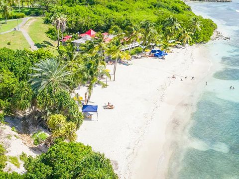 Pierre & Vacances Village Sainte-Anne Guadeloupe - Guadeloupe - Image N°8