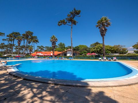 Camping Angeiras - Nordportugal - Image N°5