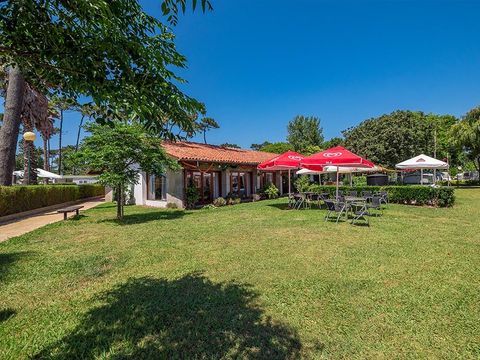Camping Angeiras - Nordportugal