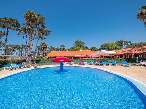 Camping Angeiras - Nordportugal - Image N°2