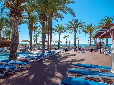 Camping Playa Tropicana - Camping Castellón
