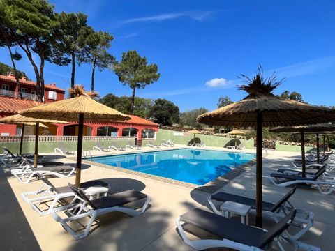 Camping Domaine des Mimosas - Camping Pyrénées-Orientales - Image N°0
