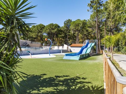 Camping Taxo les Pins  - Camping Pyrénées-Orientales