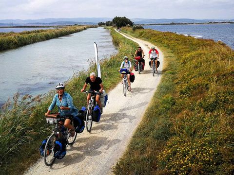 Camping Crin Blanc - Bouches-du-Rhône
