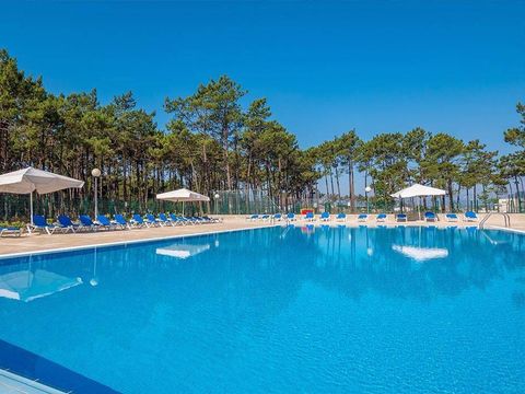 Camping Orbitur Vagueira - Zentralportugal - Image N°2