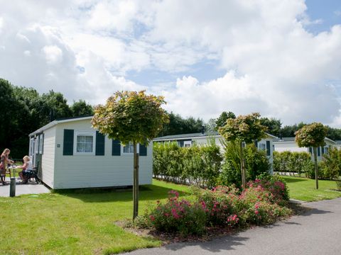 Camping Scheldeoord - Camping Borsele - Image N°5