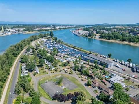 Camping L'Île du Rhin - Haut-Rhin