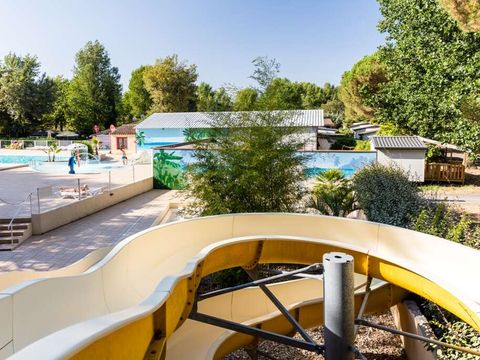 Camping Domaine de Gaujac - Camping Paradis - Camping Gard - Image N°3