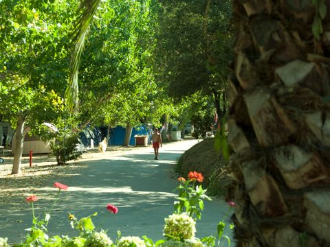 Camping La Liscia  - Camping Südkorsika - Image N°3