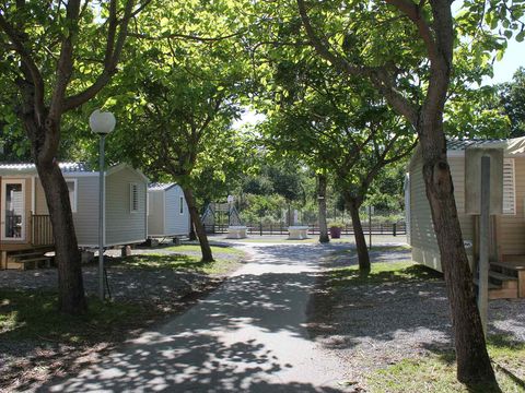 Camping Siblu La pointe - Funpass inclus - Landes - Image N°5