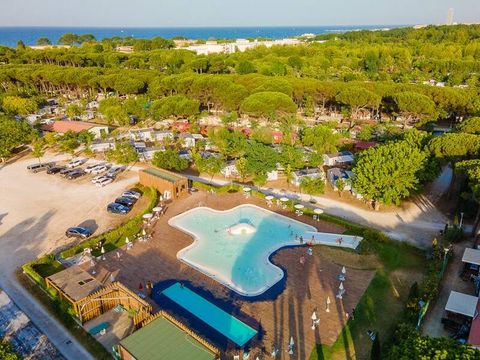 Camping Pineta sul Mare - Camping Forlì-Cesena - Image N°0